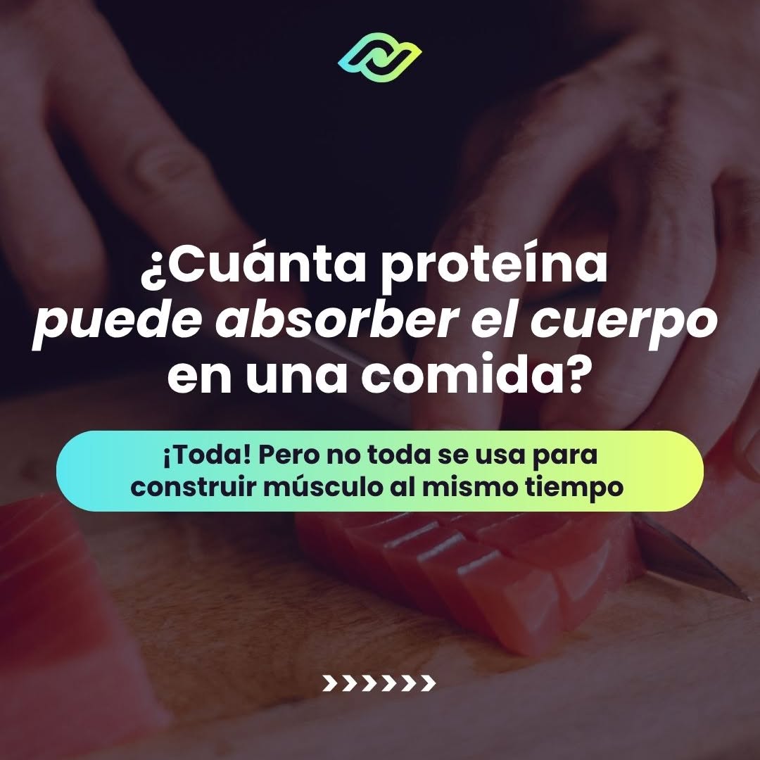 ¿Cuánta proteína absorbe tu cuerpo por comida?