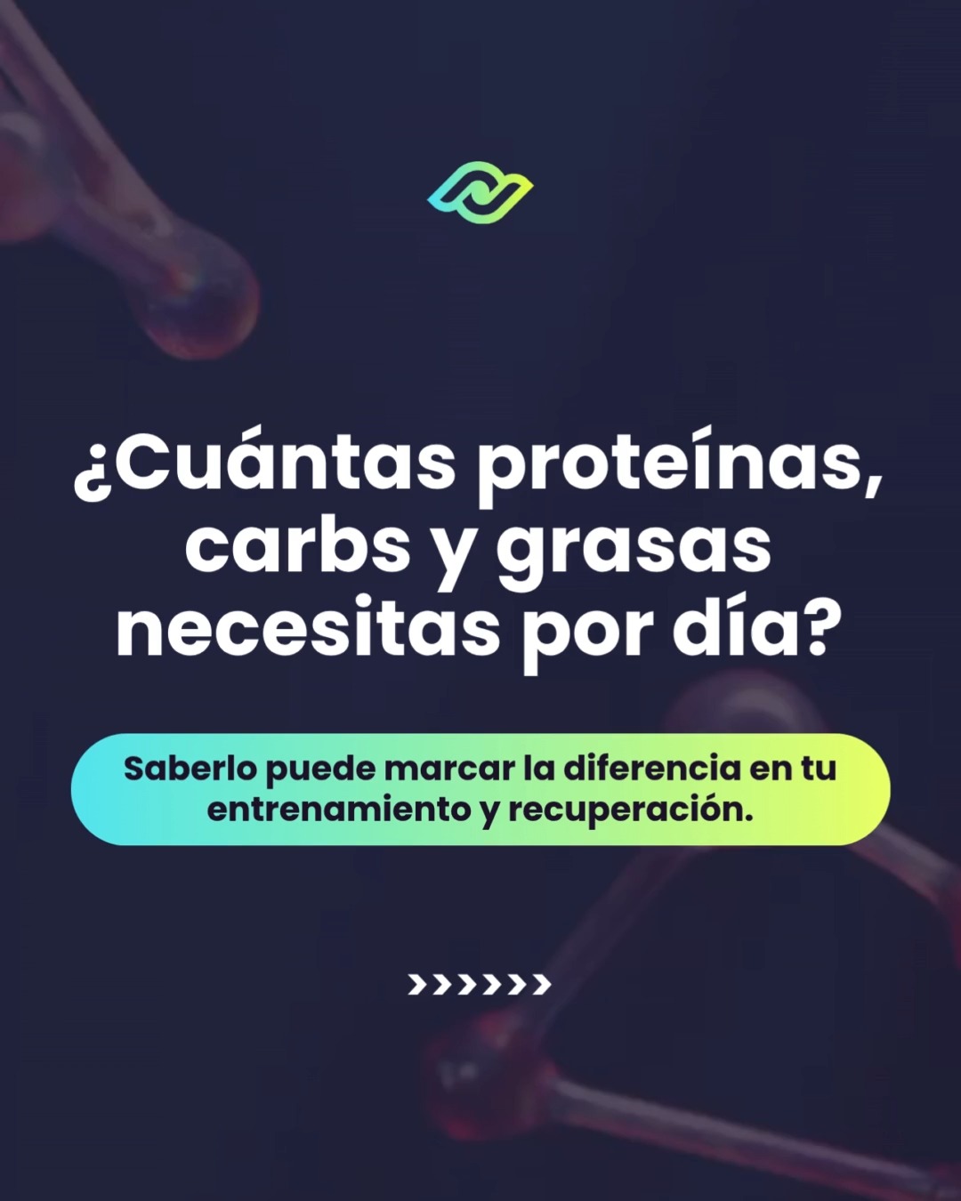 Optimiza tu Dieta con Nuestra Calculadora de Macros