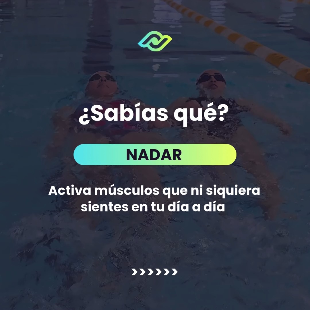 Descubre los Beneficios de la Natación