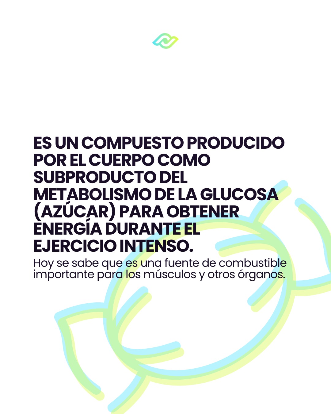 Text about glucose metabolism and lactate as fuel.