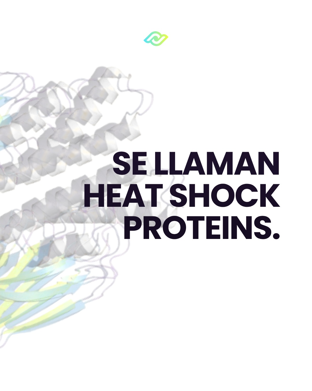 Structure of a protein and introduction to Heat Shock Proteins.