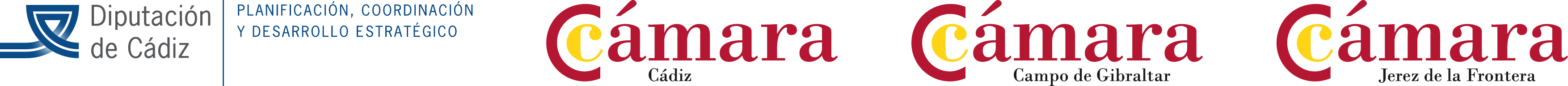 Programa Startup